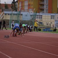 IMG 4631